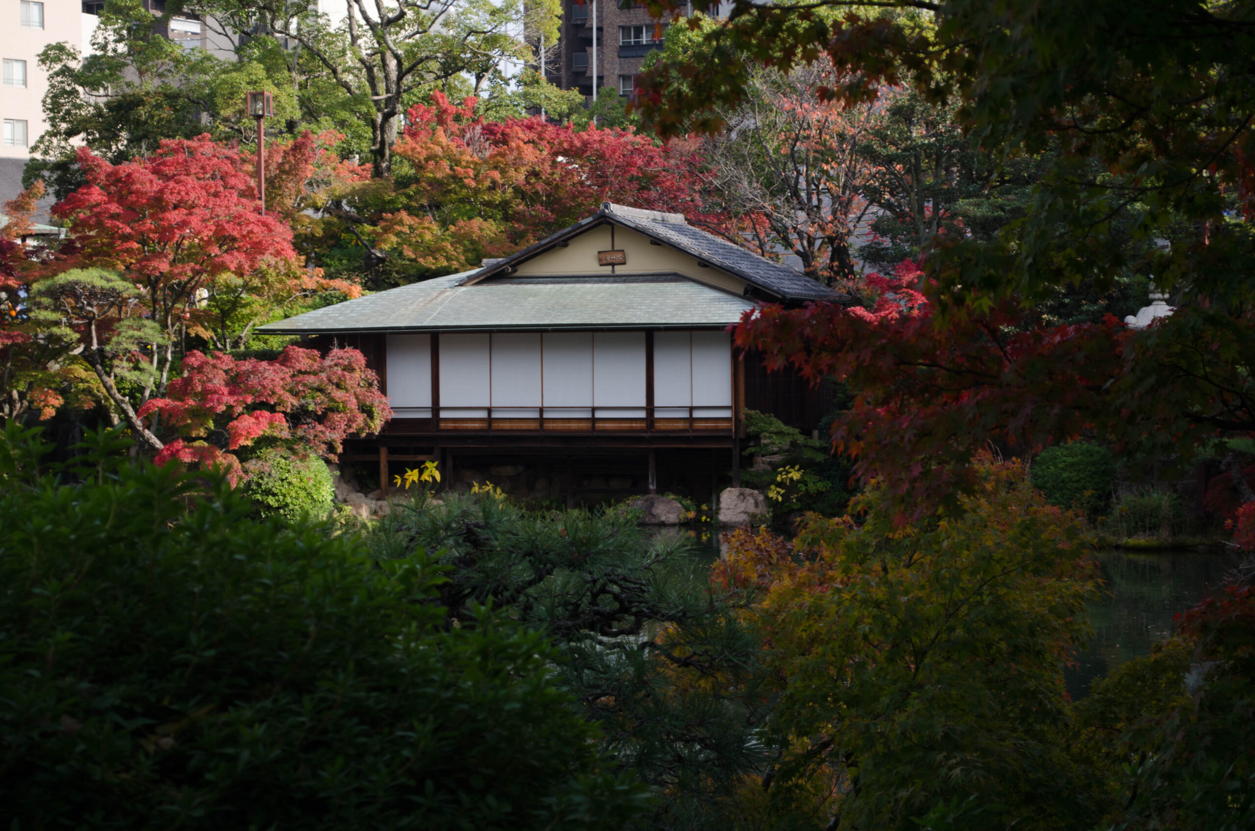 祖楽園　神戸 Sorakuen Garden, Kobe